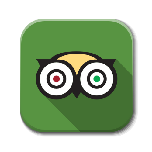 TripAdvisor Review Management